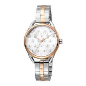 ESPRIT (ES1L216M0125)